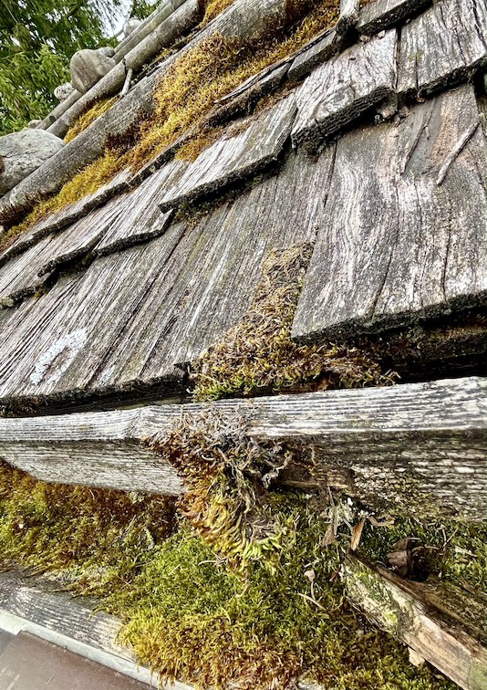 Dachsanierung beginnt!